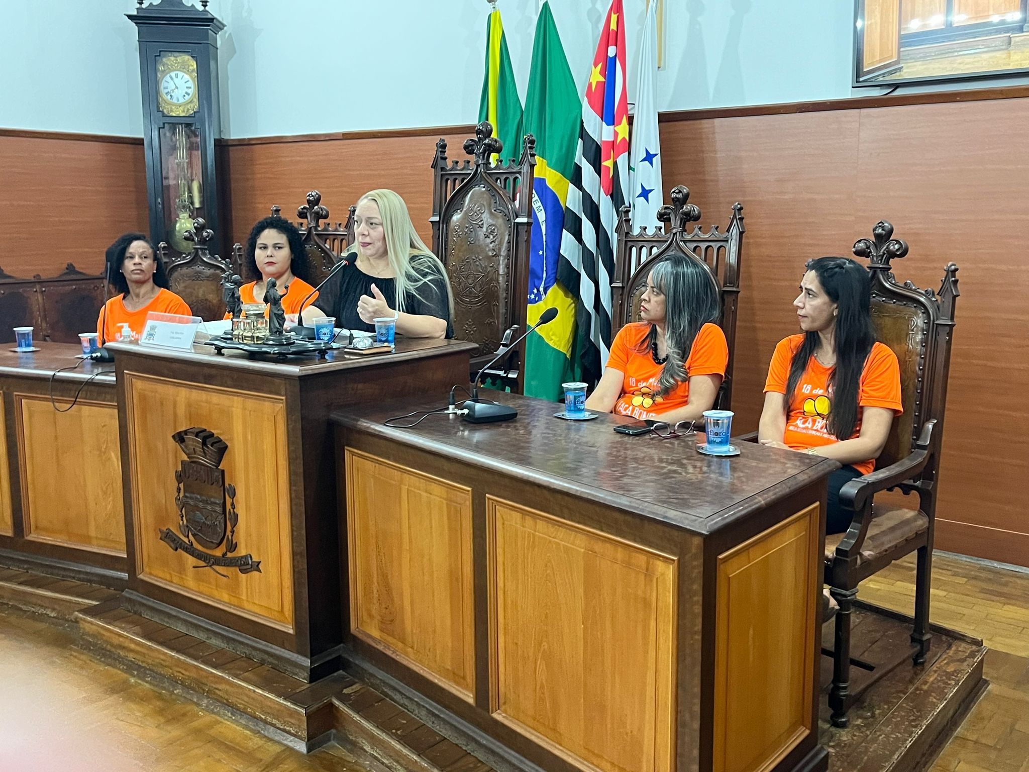 ABUSO DE CRIANÇAS E ADOLESCENTES É TEMA DE AUDIÊNCIA PÚBLICA NA CÂMARA MUNICIPAL DE MOCOCA 