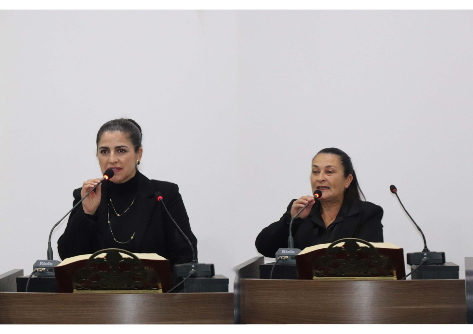 Na palavra-livre, Vereadoras discorrem sobre veículo encaminhado ao Programa Leite das Crianças e pedem ajuda à família do Seu Miguel Sitko 