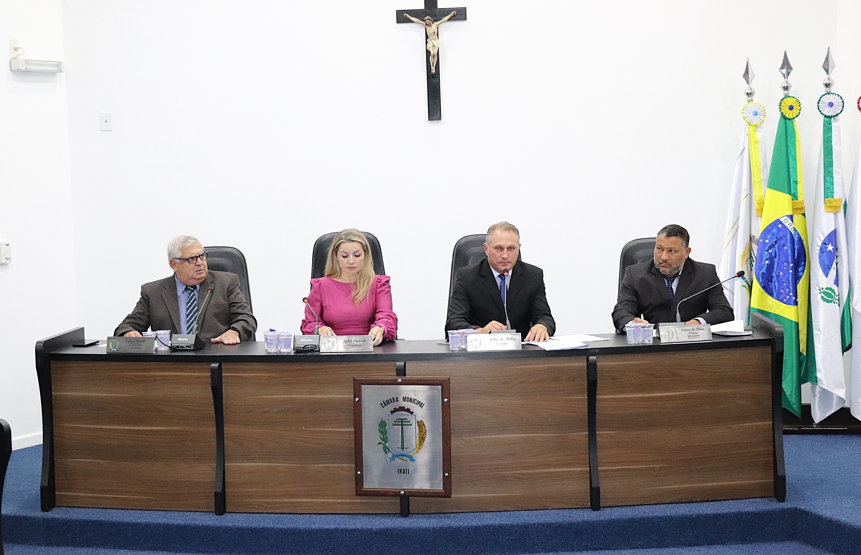 Projeto que trata da limpeza de terrenos baldios é aprovado em 1ª Votação